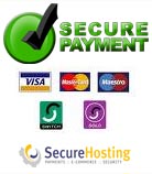 Secure Payment Online